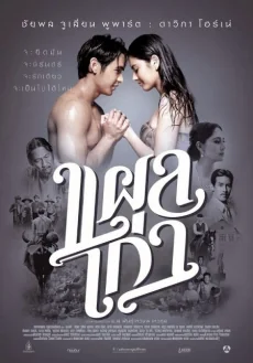 แผลเก่า 2014