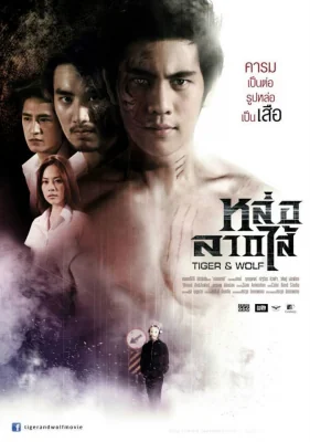 หล่อลากไส้ 2013