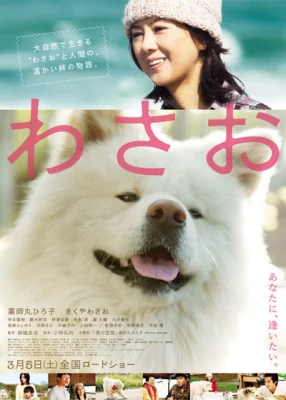 วาซาโอะ 2011